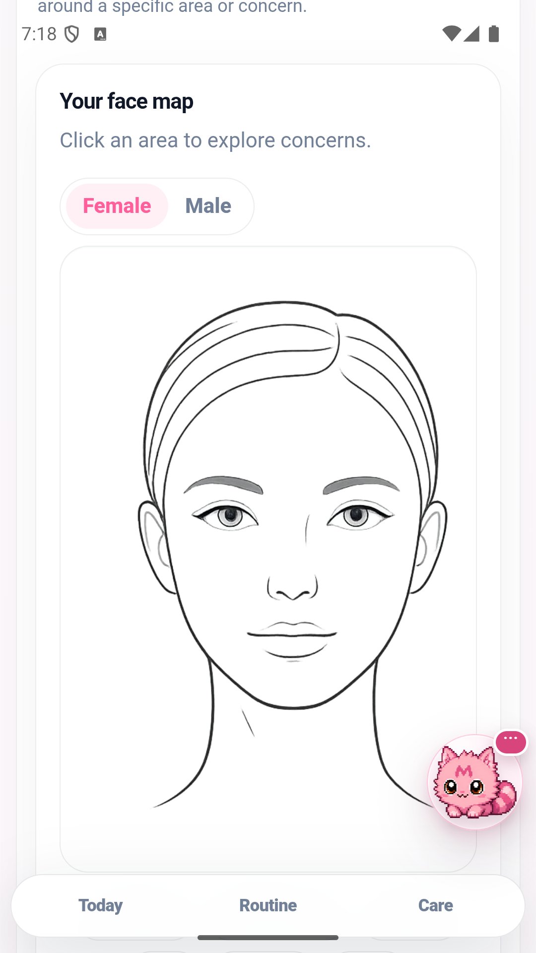 An interactive face map for exploring concerns by facial area.